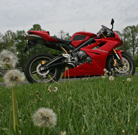 Daytona 675 in spring