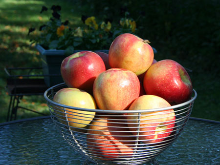 fall apples