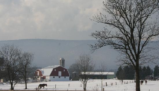 Pennsylvania horse farm