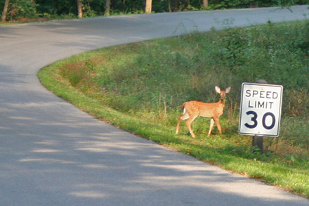 Brown County State Park in Indiana