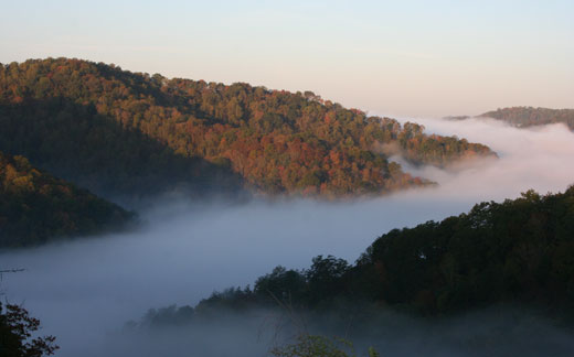 morning fog