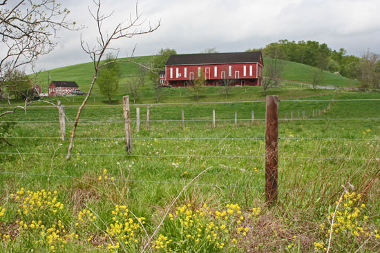 spring farm scene
