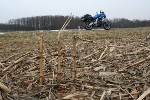 winter fields