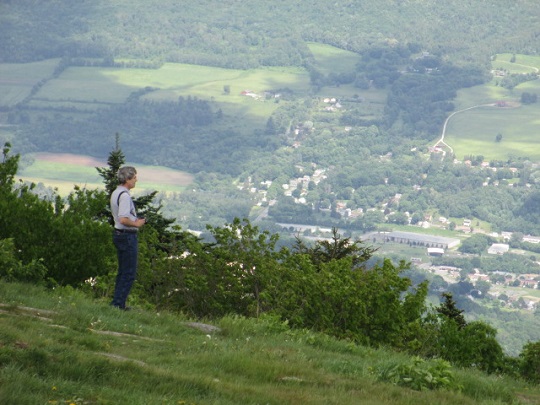 Mount Greylock