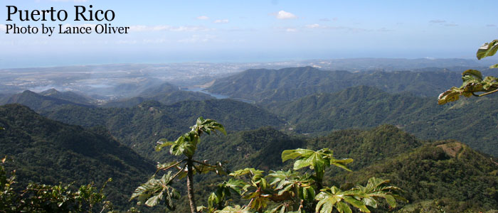 distant view of the Caribbean coast from the mountains of Puerto Rico